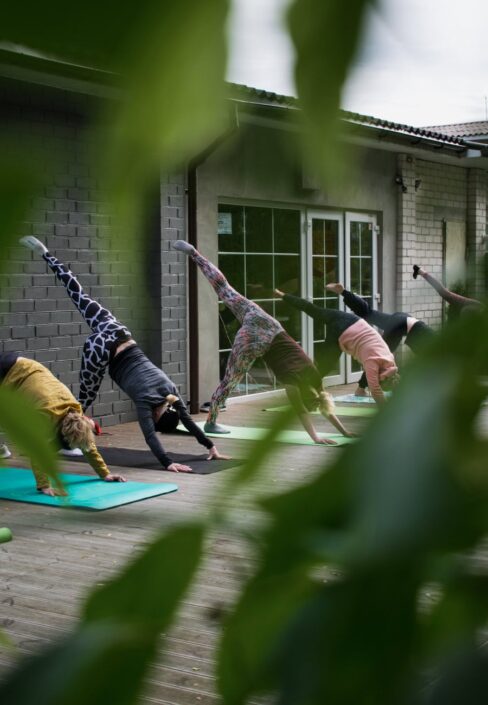 Eine Gruppe von Menschen, die im Freien Yoga praktizieren, alle in der Haltung des nach unten gerichteten Hundes mit einem angehobenen Bein.