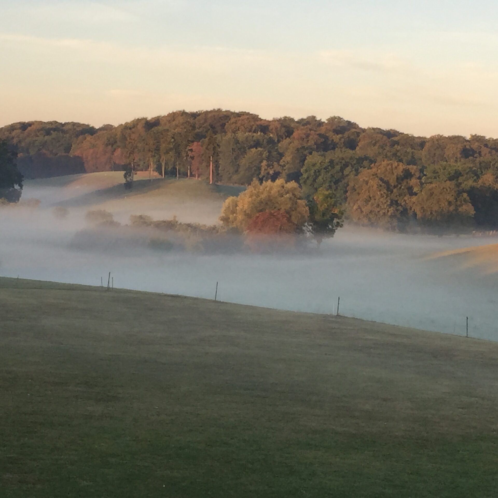 Eine neblige Morgenlandschaft mit sanften Hügeln, Bäumen im Hintergrund und leichtem Nebel in Bodennähe. In der Ferne grast ein einsames Pferd friedlich neben einem alten Marstall und verleiht der ruhigen Szene einen Hauch von Leben.