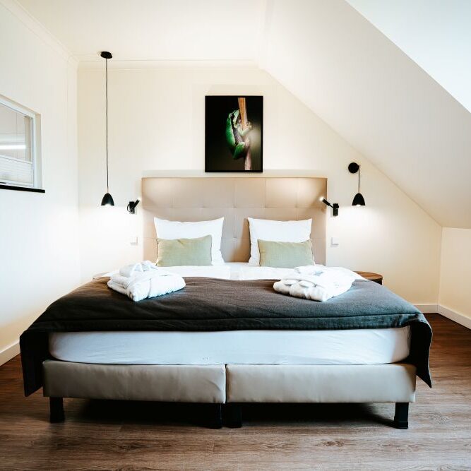 Modernes Doppelzimmer mit einem ordentlich gemachten Bett, zwei Bademänteln für zusätzlichen Komfort, sanfter Beleuchtung und einem Kunstwerk über dem Kopfteil.
