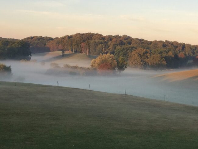Ein nebliger Morgen über sanften Hügeln und Bäumen in der Nähe von Basedow, während sich im Tal unter klarem Himmel Nebel ausgebreitet hat – ein Bild, das die ruhige Schönheit des Goldenen Herbstes einfängt.
