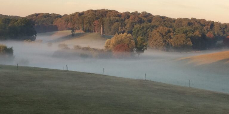 Ein nebliger Morgen über sanften Hügeln und Bäumen in der Nähe von Basedow, während sich im Tal unter klarem Himmel Nebel ausgebreitet hat – ein Bild, das die ruhige Schönheit des Goldenen Herbstes einfängt. Ein nebliger Morgen über sanften Hügeln und Bäumen in der Nähe von Basedow, während sich im Tal unter klarem Himmel Nebel ausgebreitet hat – ein Bild, das die ruhige Schönheit des Goldenen Herbstes einfängt.