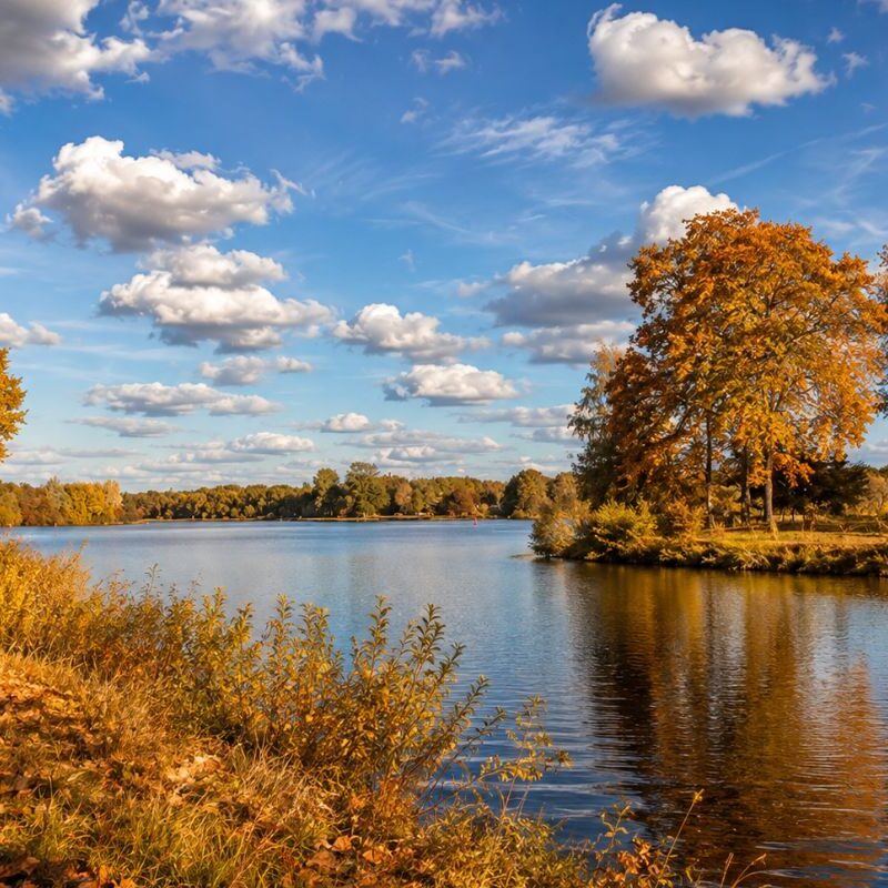 Herbstbäume an einem ruhigen Fluss bilden unter einem blauen Himmel mit vereinzelten Wolken ein malerisches Glücks-Arrangement.
